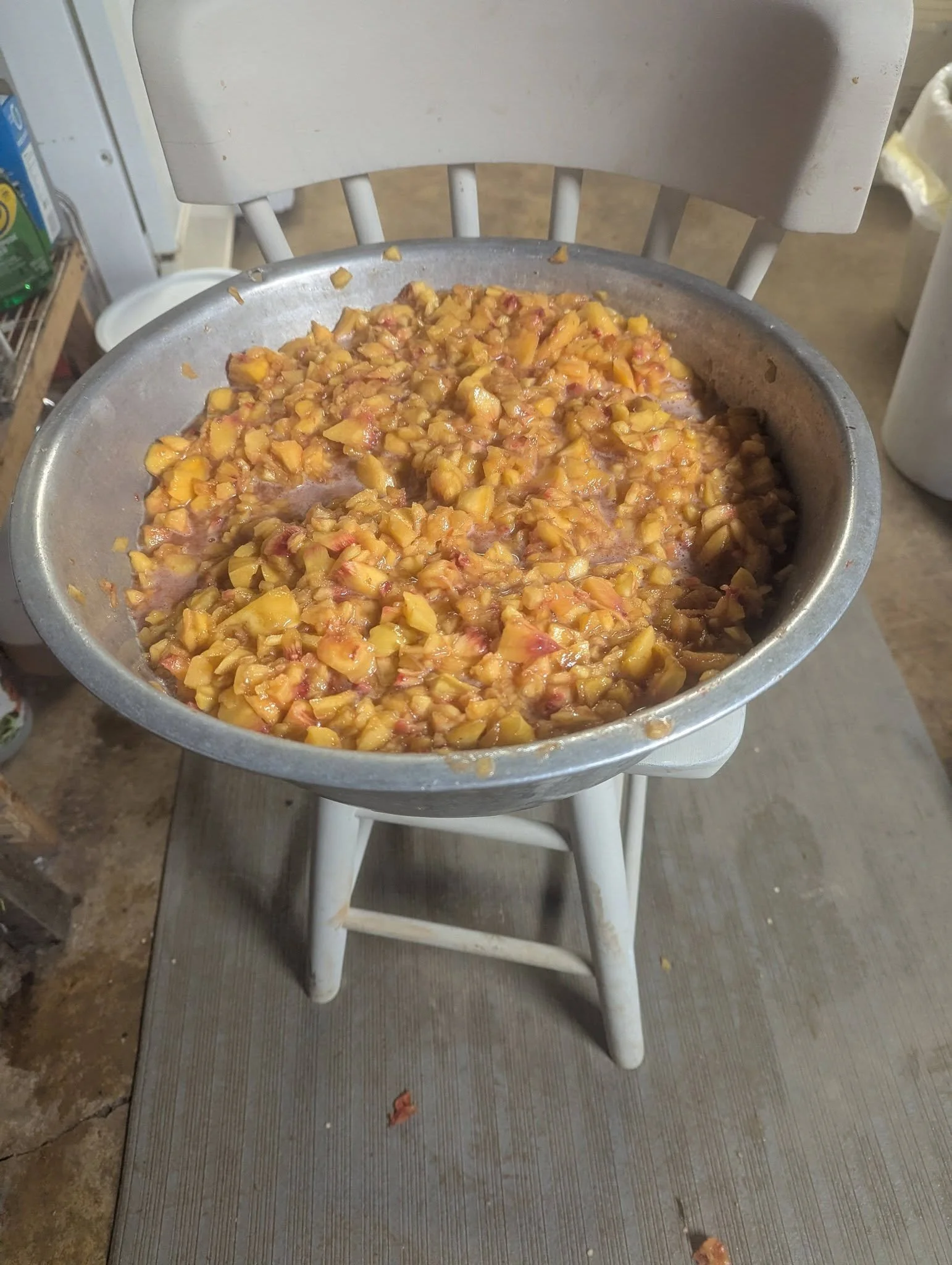 peach.salsa.jpg