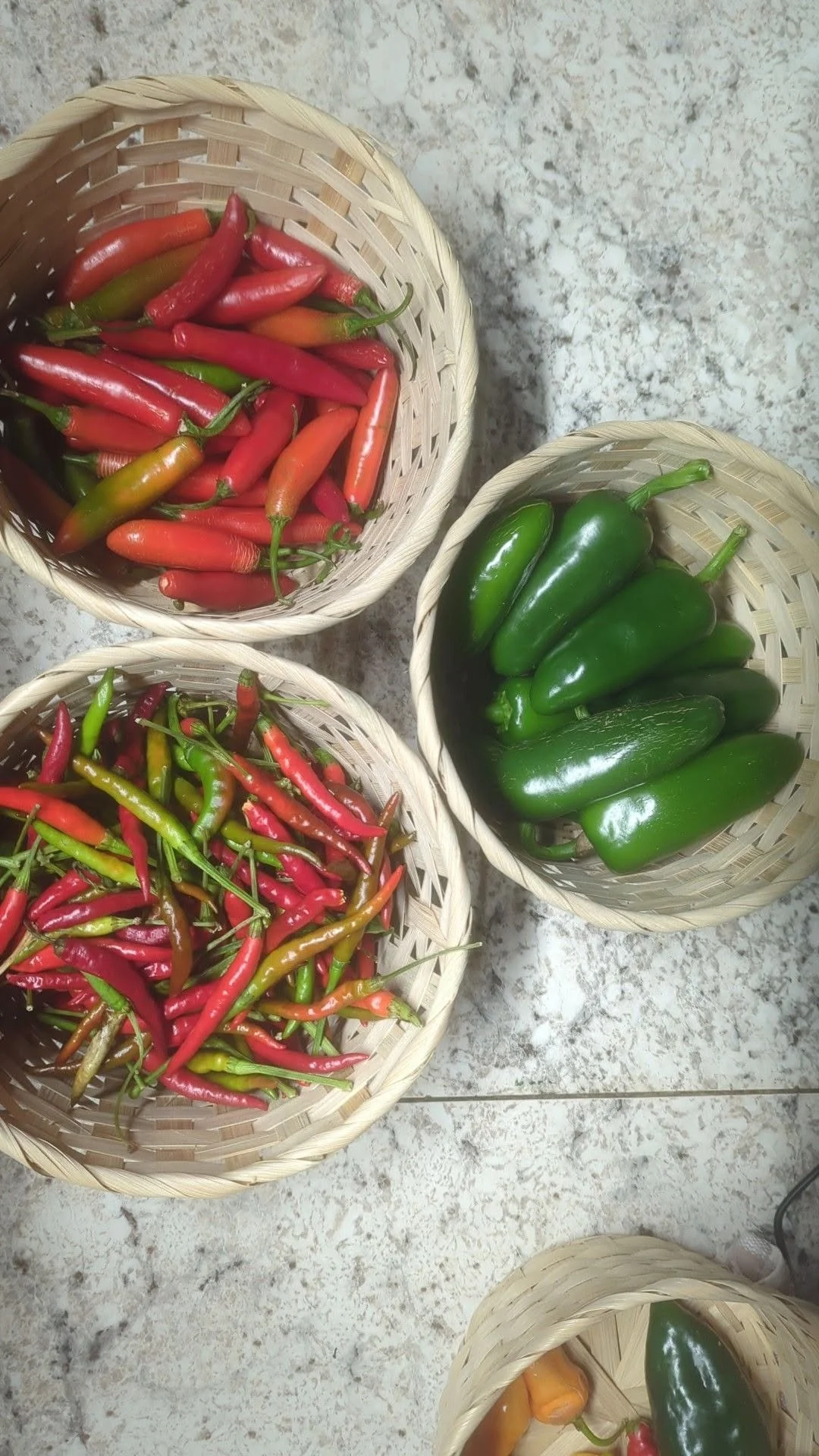 peppers1.jpg