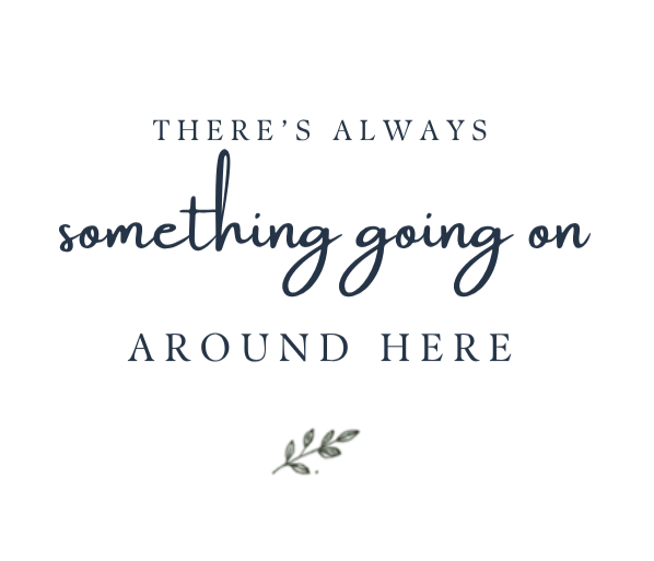 Typography graphic reading “There’s always something going on around here,” with a small green leafy branch on a black background.