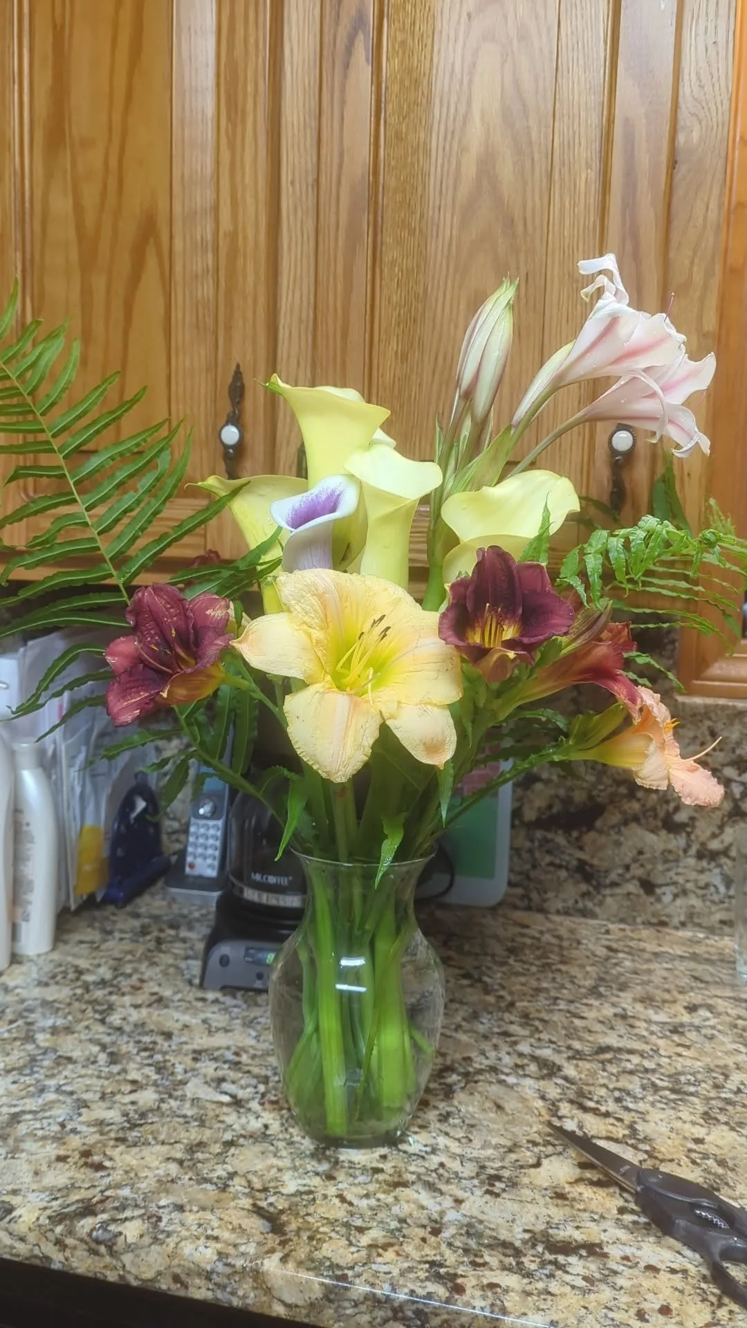 daylily1.jpg