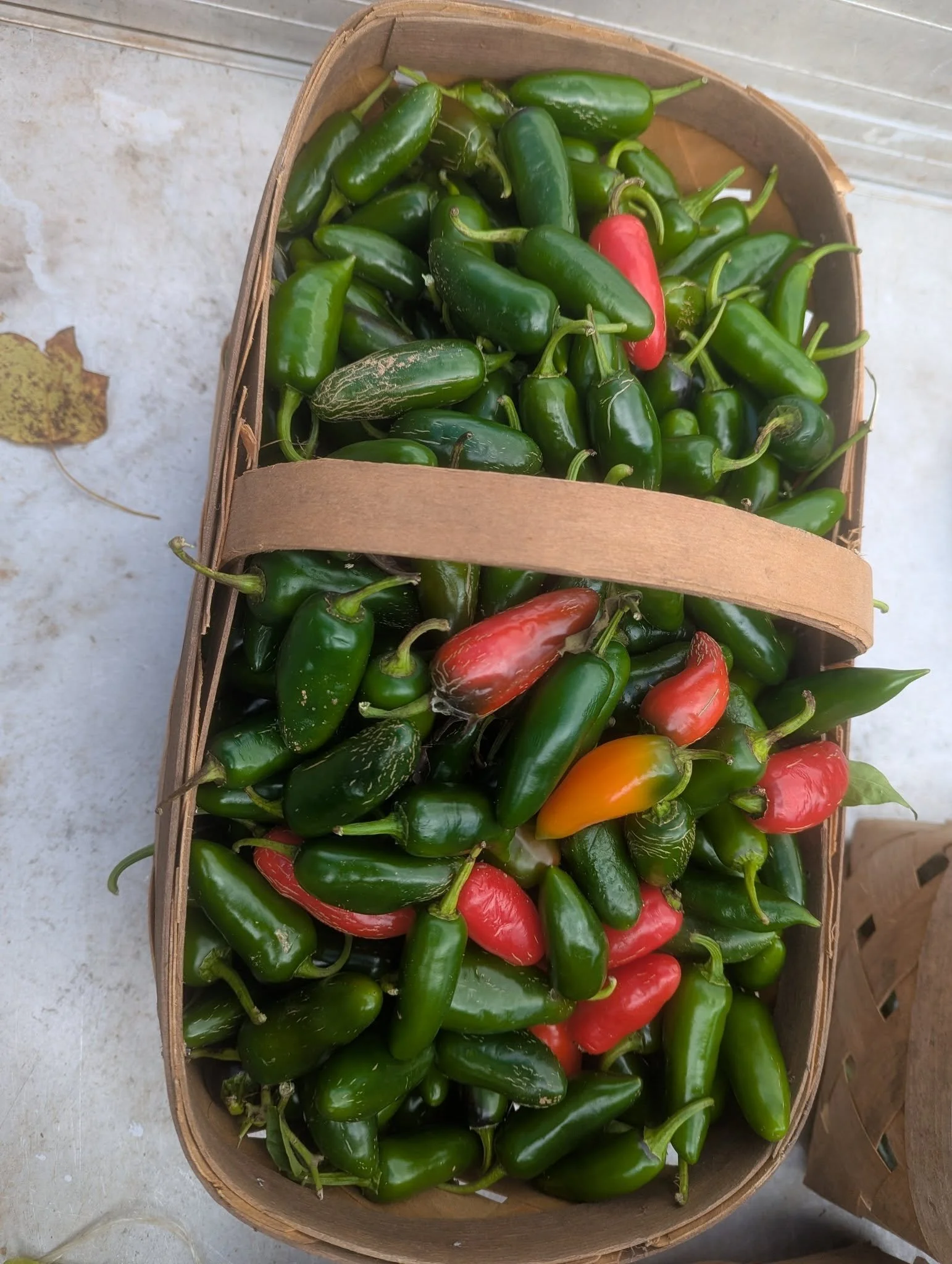 peppers4.jpg