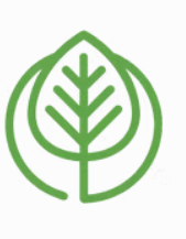 Yale/Elmseed Consulting Fellowship