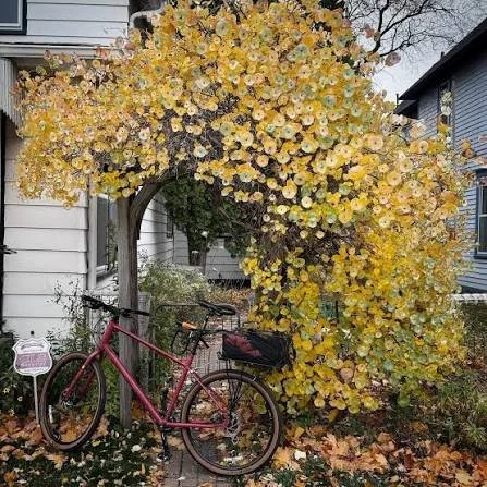 images (25).jpg