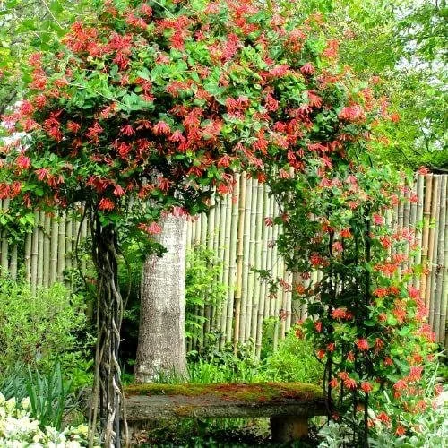 tMdhJS53PYXwEuWEuZBXvomEos01lnEuWGrP0tpM927LA-q_K6Far9EUG8Bq0iv3WJXD4NO6E0fMTLzEr7Ck-oNuMNeoFsqd6YxgxwneDA0a02ul5sMXK4KsiFviqtKM9zHOVQ6loFCuEdEAD2dq7ilEx7YItvDmL8YRvToubr8PwOxIqCbOi6adYt2o0arg.jpg