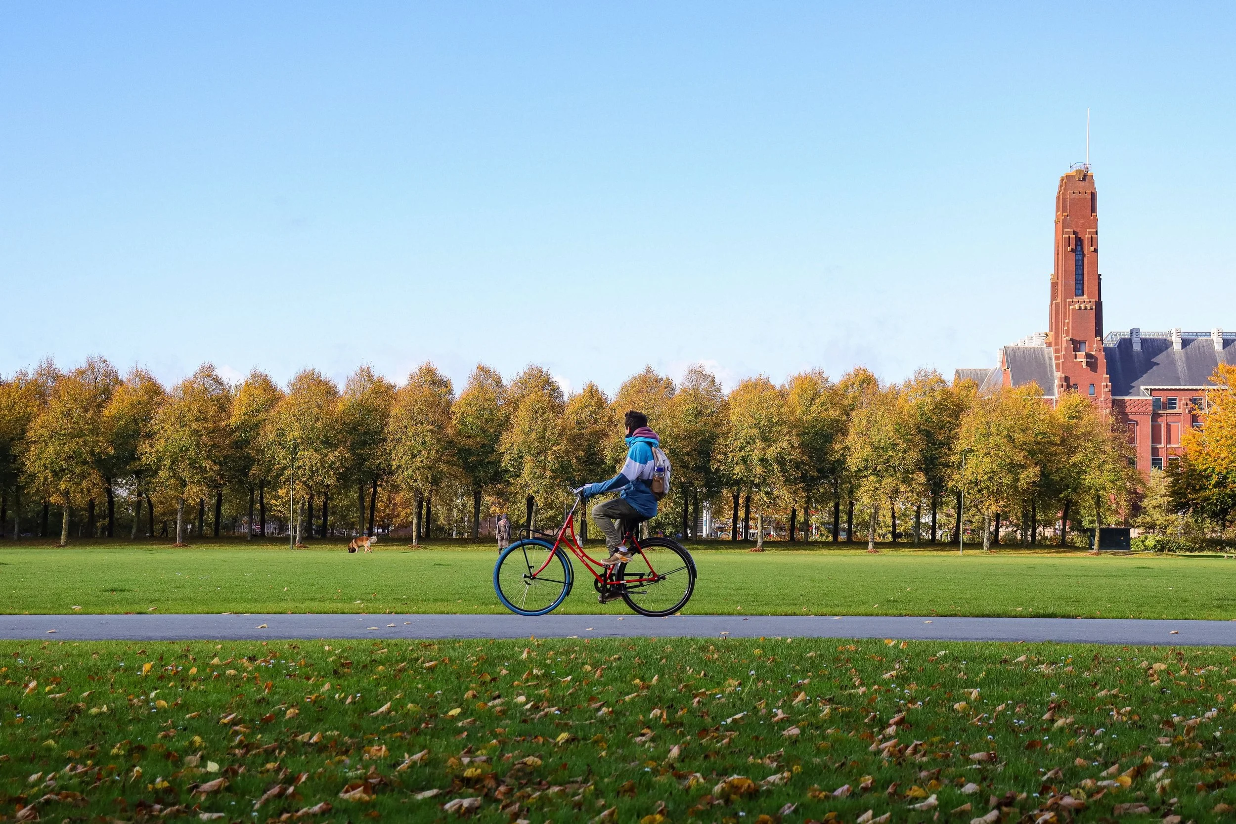 A person riding a red bicycle in a park with green grass, yellow and orange leaves, trees with autumn foliage, and a tall brick building in the background under a clear blue sky.