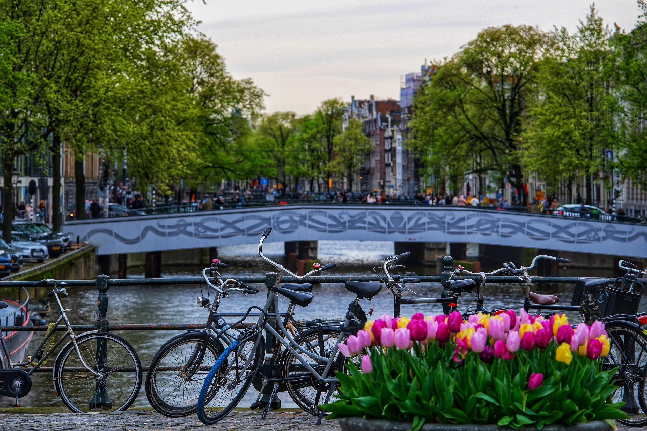 Bicycles parked along a canal with colorful tulips in the foreground, a bridge with artistic railing, trees with green leaves, and buildings in the background.