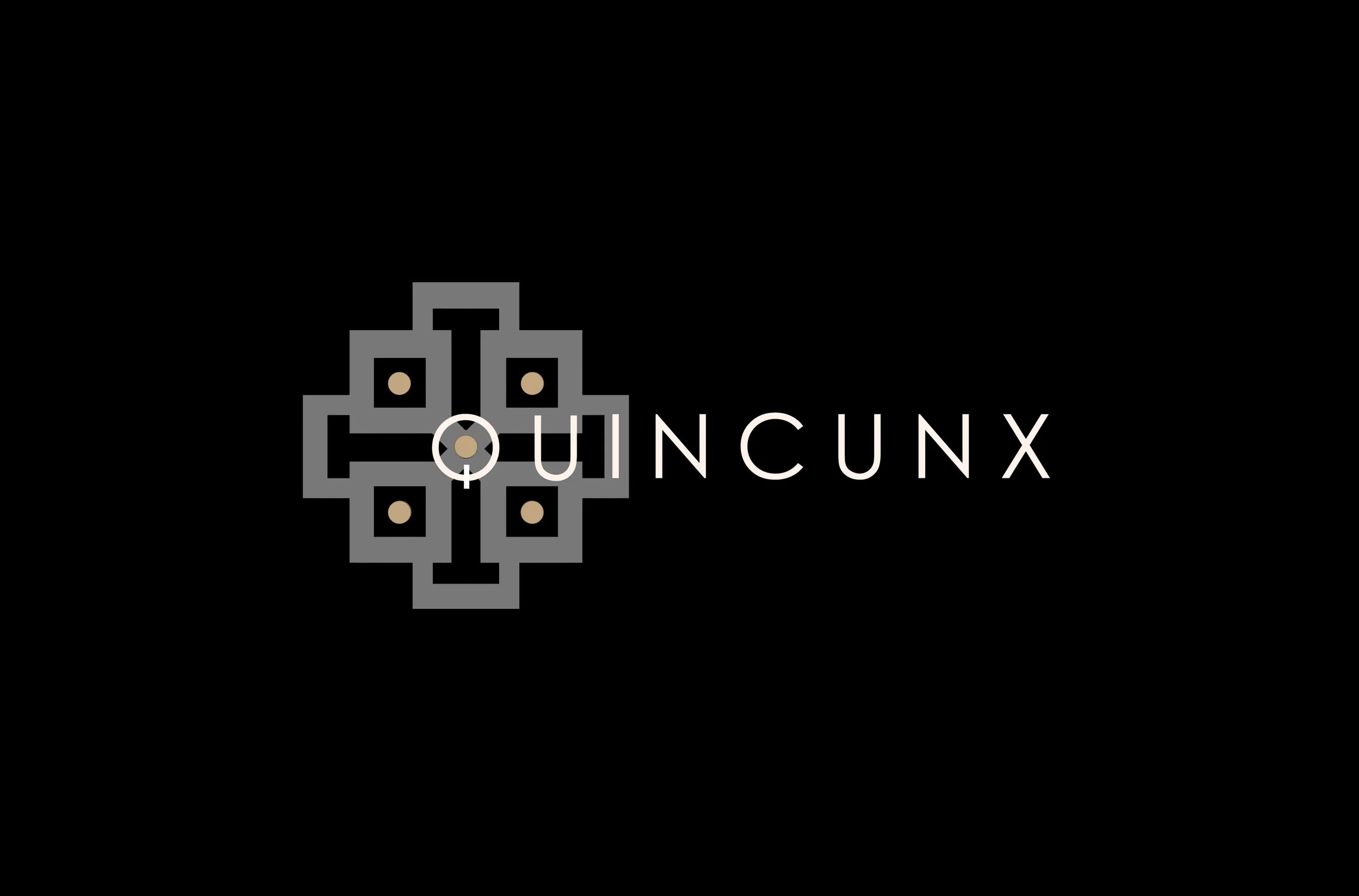A logo with a cross-patterned geometric design and the text 'QUINCUNX' on a black background.