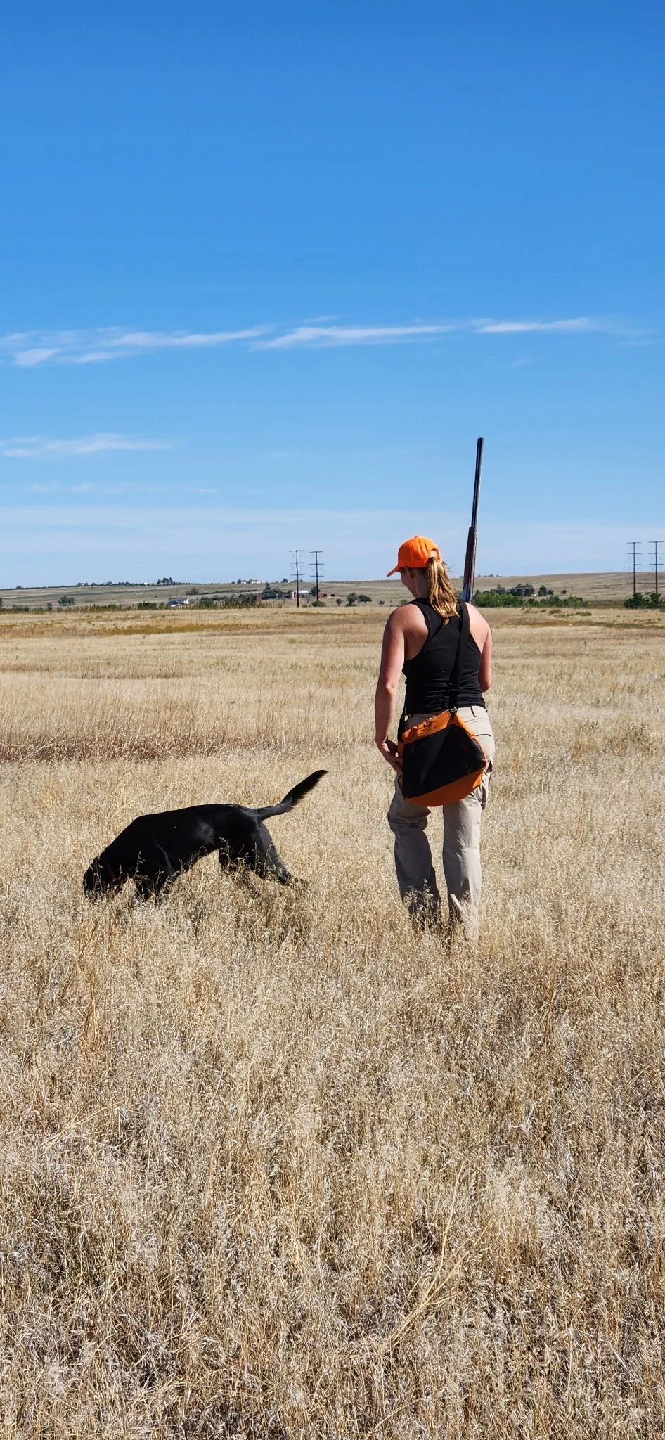 A woman with a black tank top and khaki pants walking in a dry, grassy field with a black dog. She has a bright orange cap and a black and orange bag. The sky is clear and blue with some light clouds, and there are power lines in the distance.