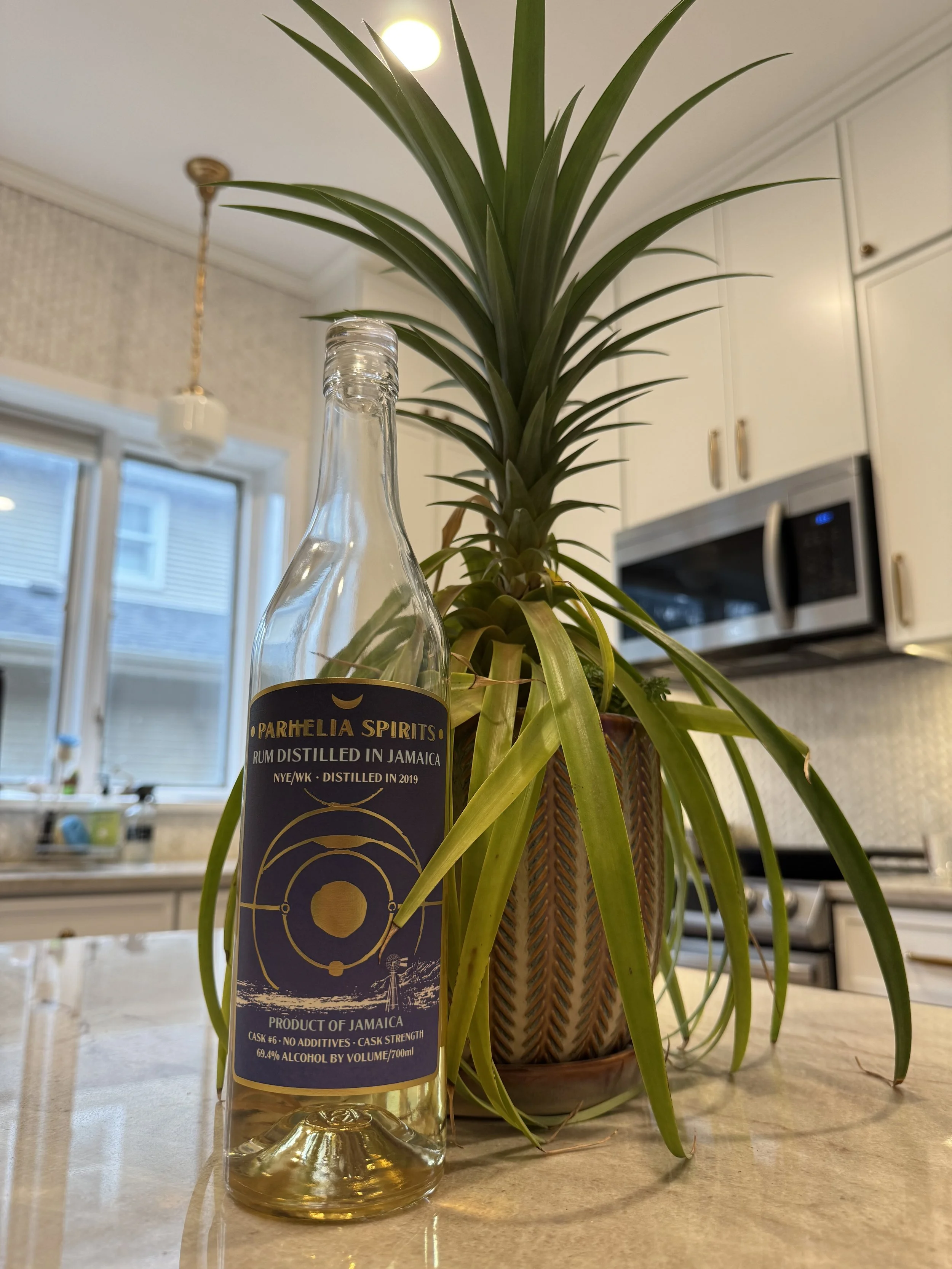 Parhelia Spirits Jamaica New Yarmouth Winston Kennedy