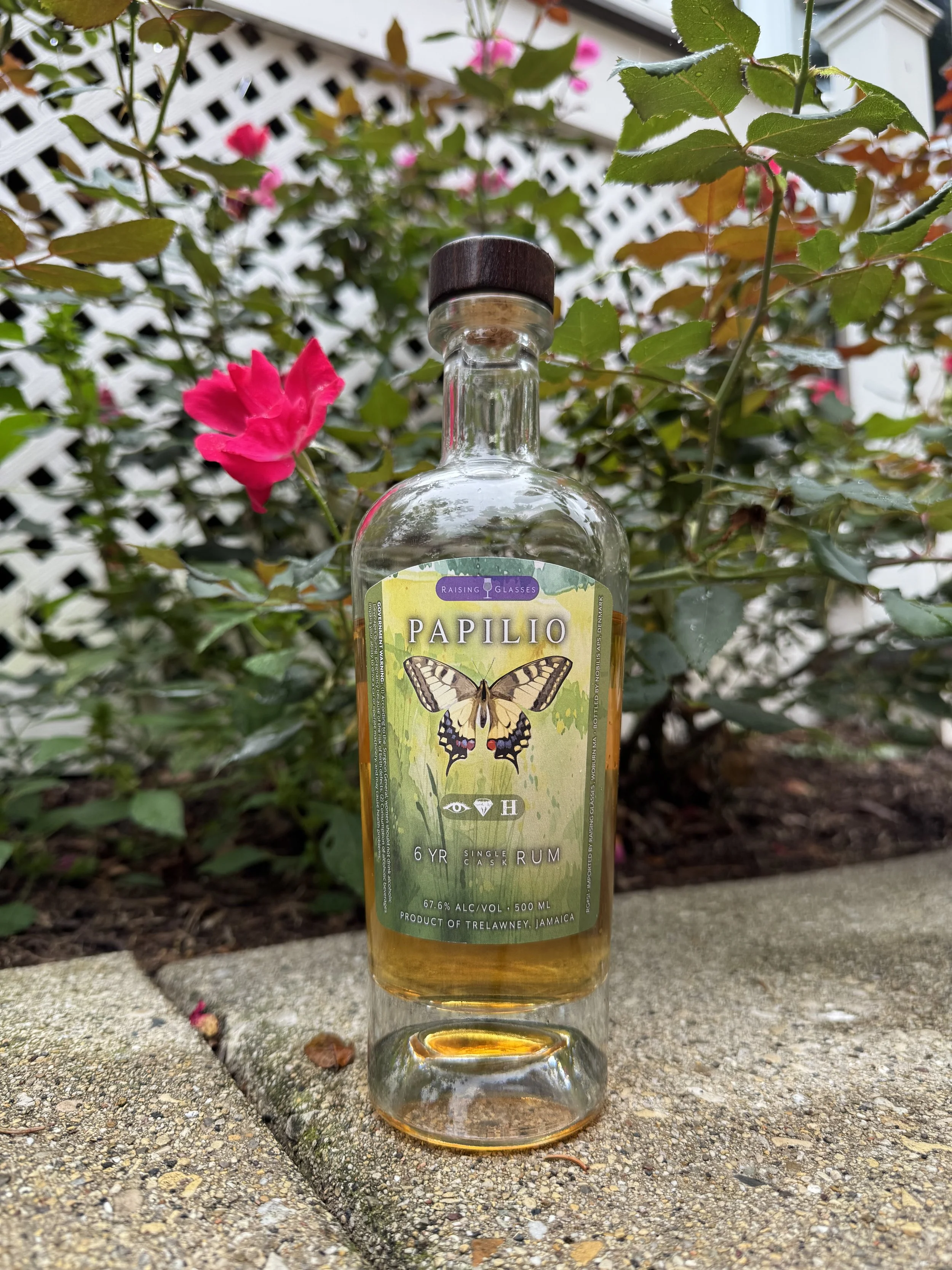 Raising Glasses Papilio 6 Year (Hampden C<>H)
