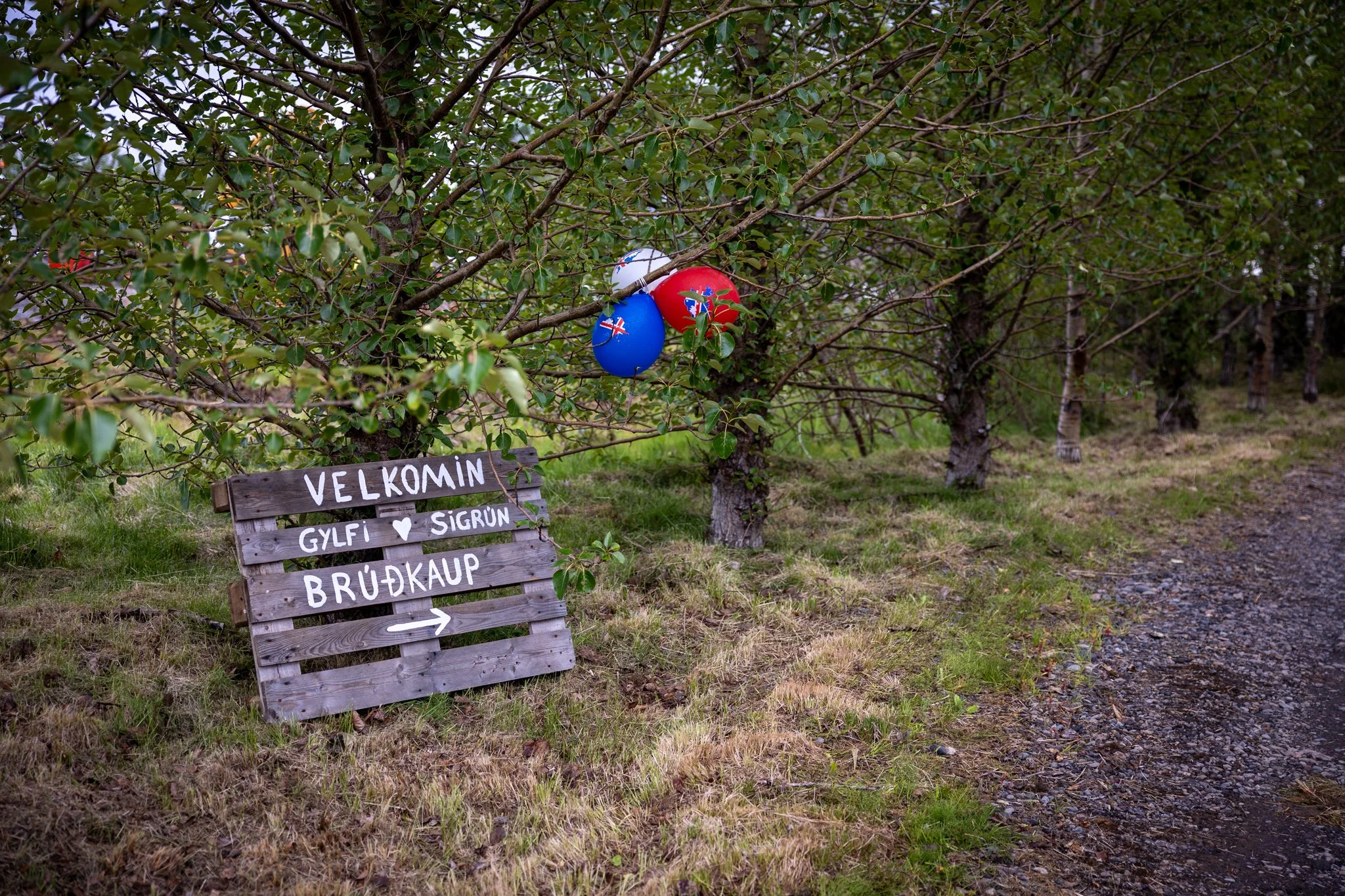 Veislan - NETupplausn (2 of 248).jpg