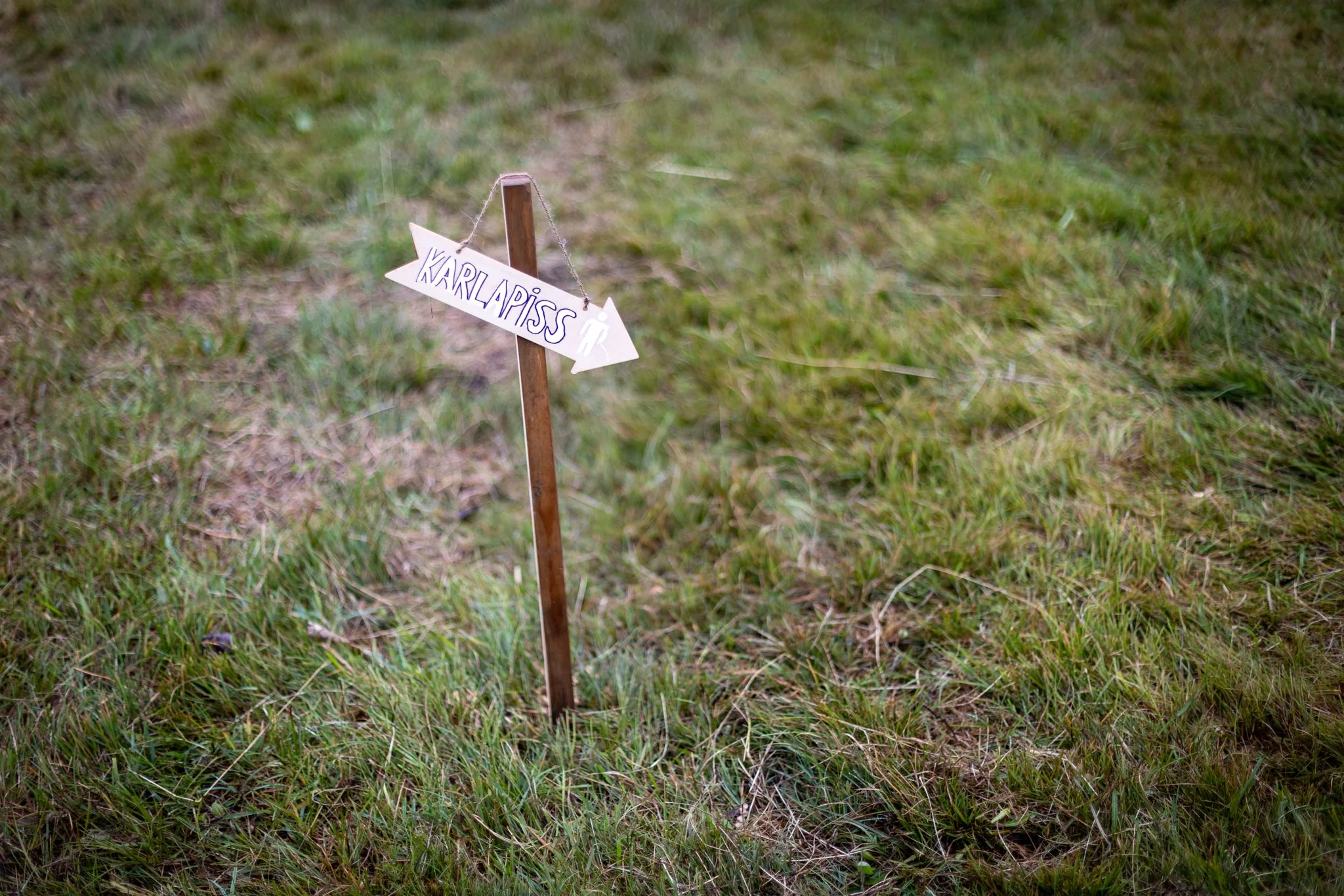 Veislan - NETupplausn (18 of 248).jpg