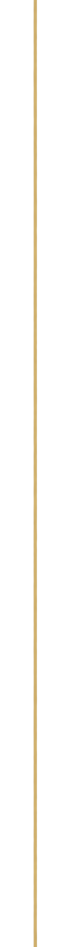 An extremely tall, thin pole with electronic components and wiring attached, extending vertically.