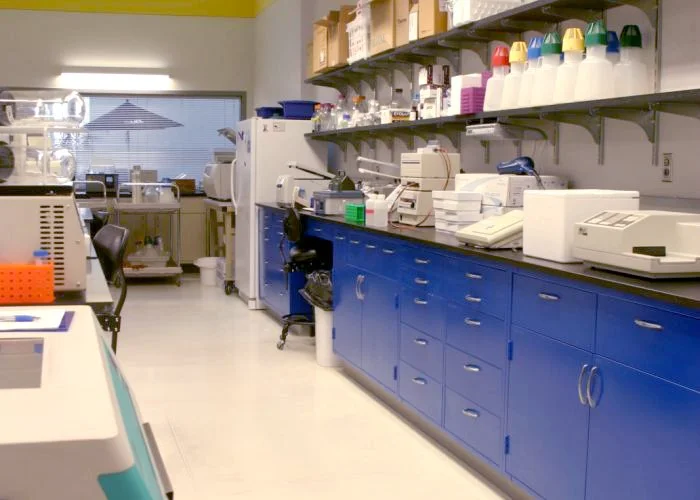 Laboratory with blue cabinets, scientific equipment, test tubes, and lab supplies on shelves.