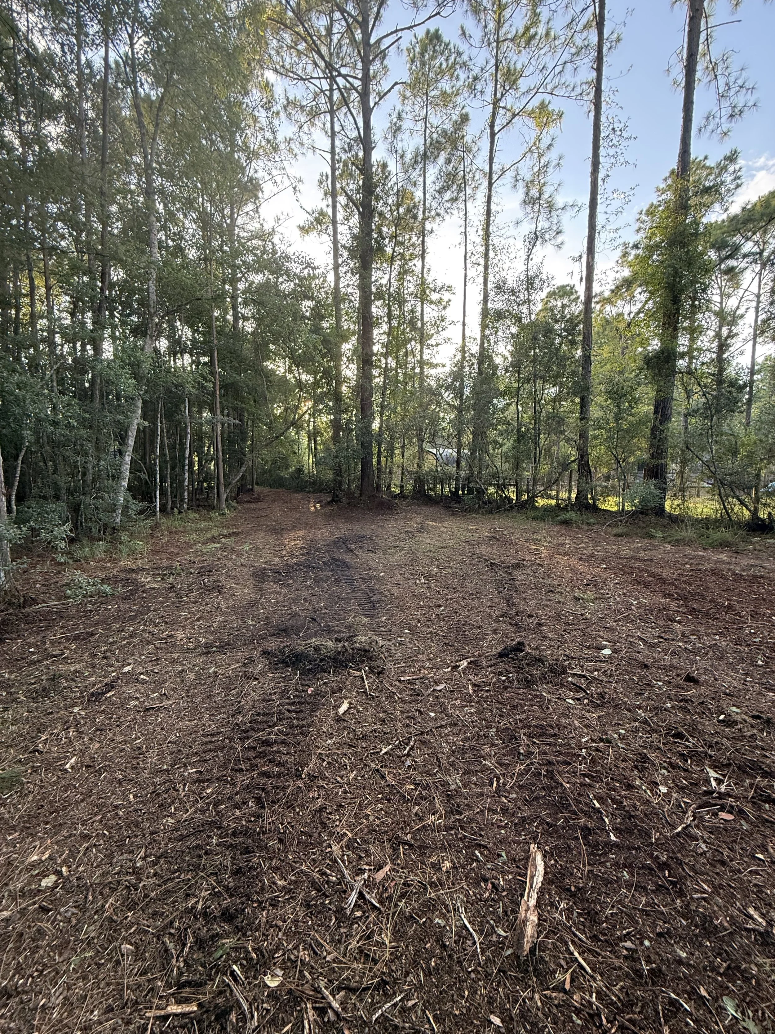 Recently forestry-mulched property in Jacksonville, Florida, with unwanted brush, palmettos, and overgrowth cleared to improve access, appearance, and usable space.