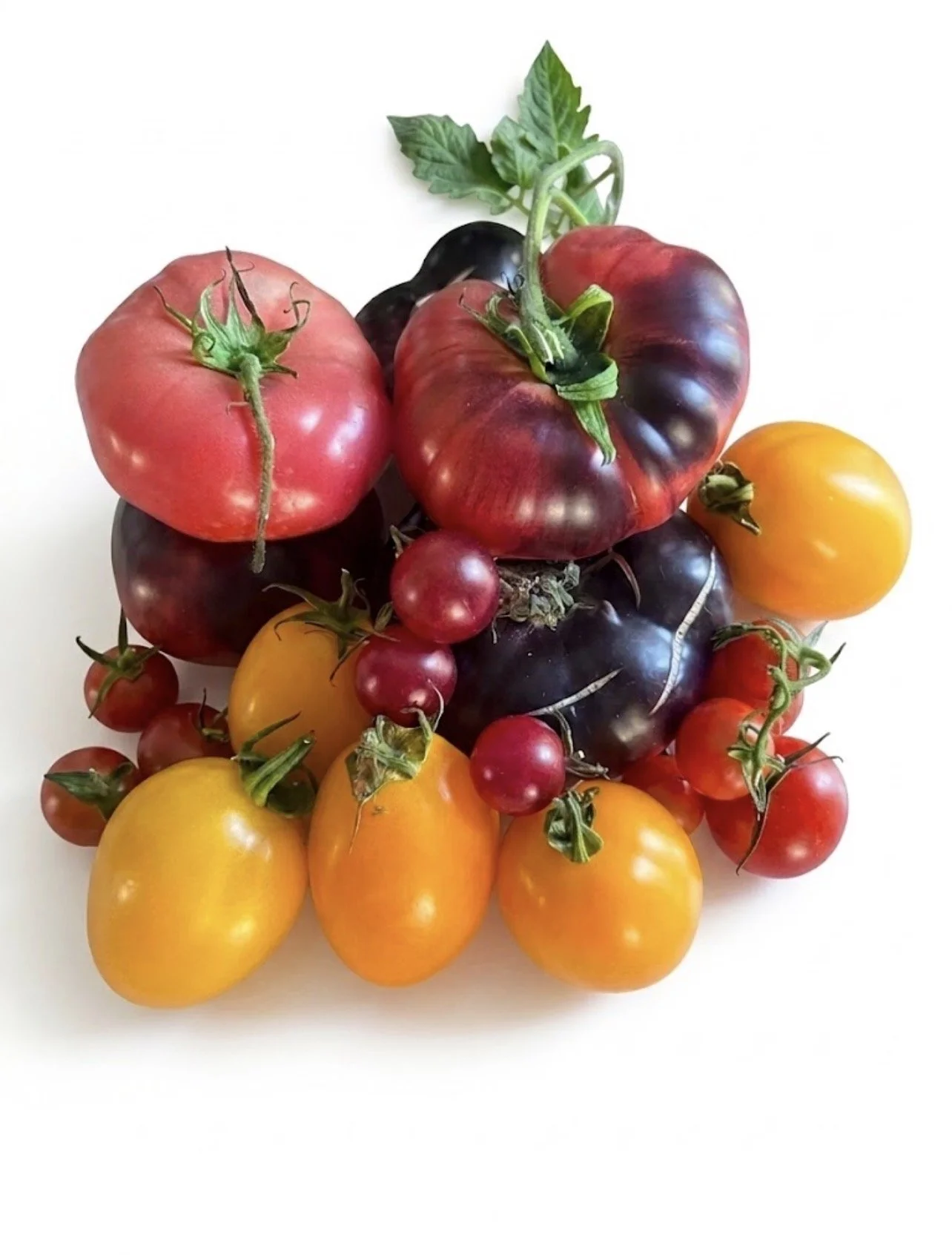 Organic Heirloom Mixed Tomatoes
