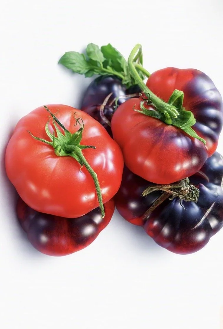 Black Beauty (Indigo Rose Organic Tomatoes) Pack