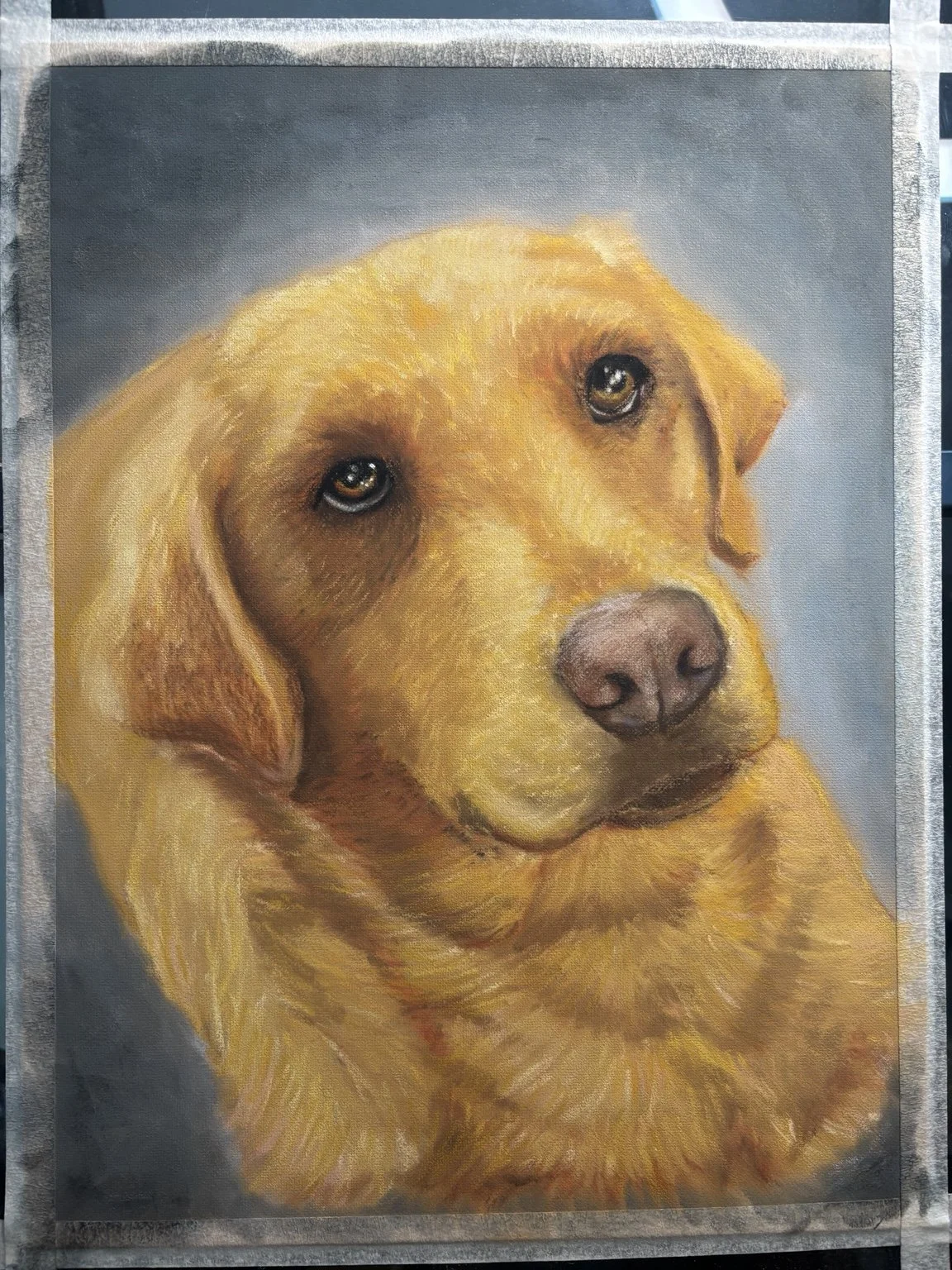 Painting of a Labrador Retriever dog with brown eyes and yellow fur, against a gray background.