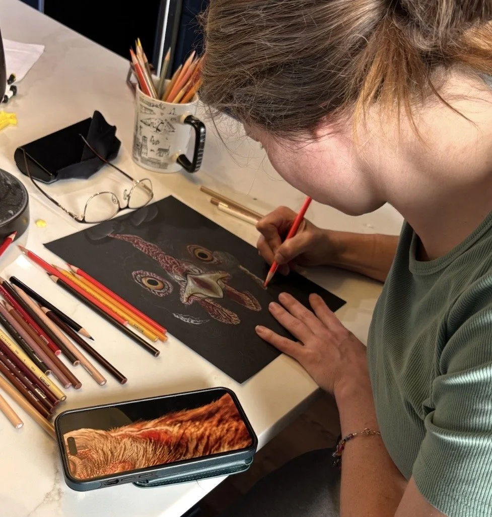 A person is drawing a colorful, detailed chicken face on black paper with colored pencils. The workspace includes various colored pencils, a pair of glasses, and a smartphone with a furry animal on the screen.