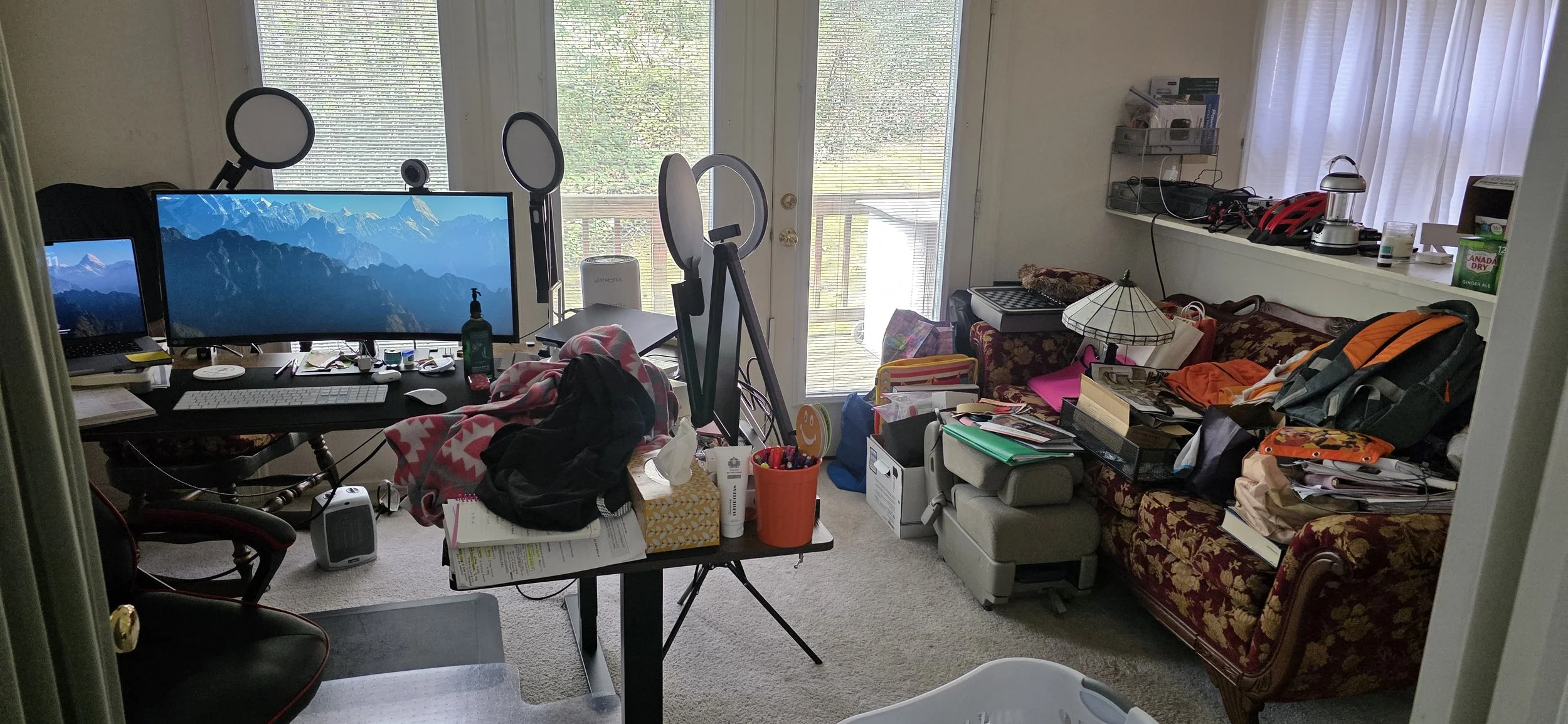 Home reset client. The home office became a "catch-all" space.