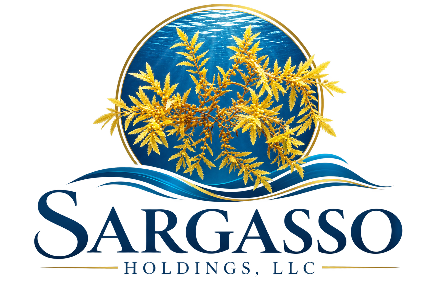 Sargasso Holdings, LLC