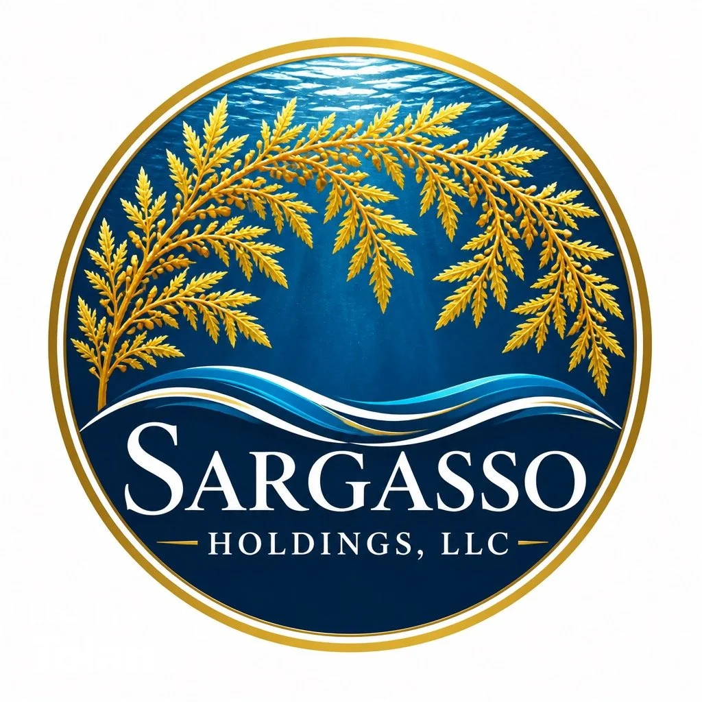 Sargasso Holdings, LLC