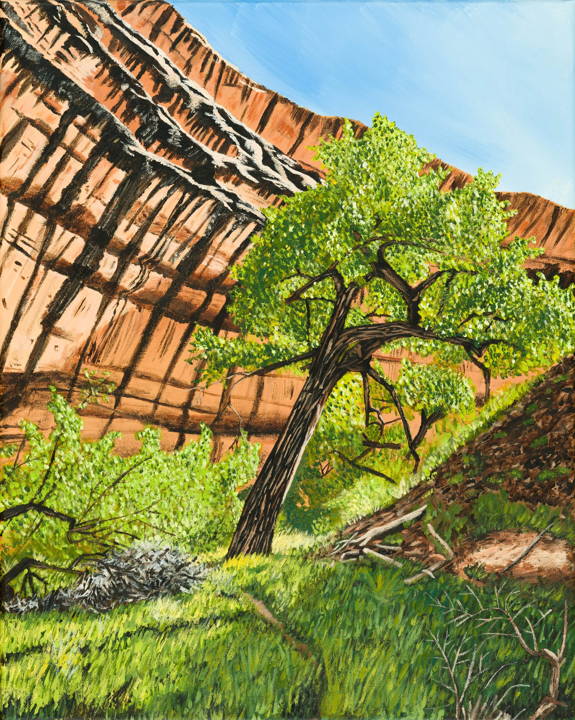 (PRINT) Grand Gulch Cottonwood