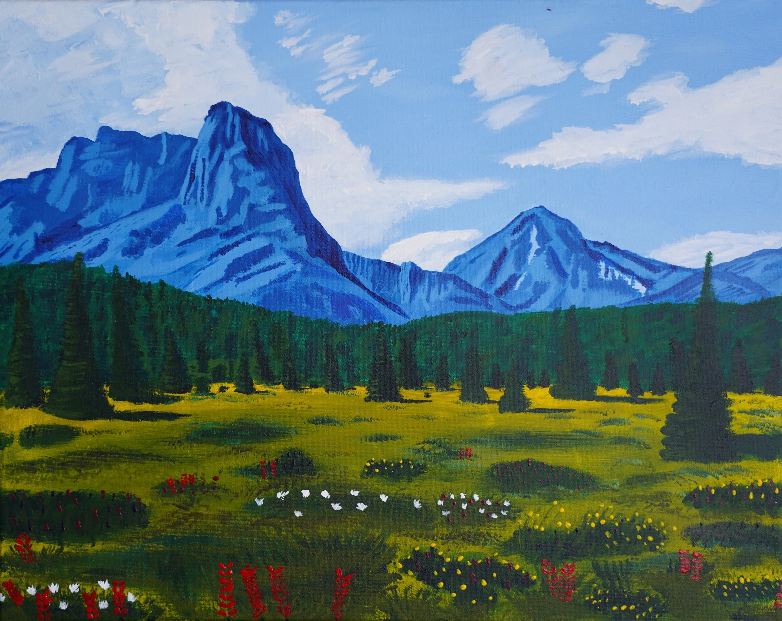 Meadow, Popo Agie Wilderness
