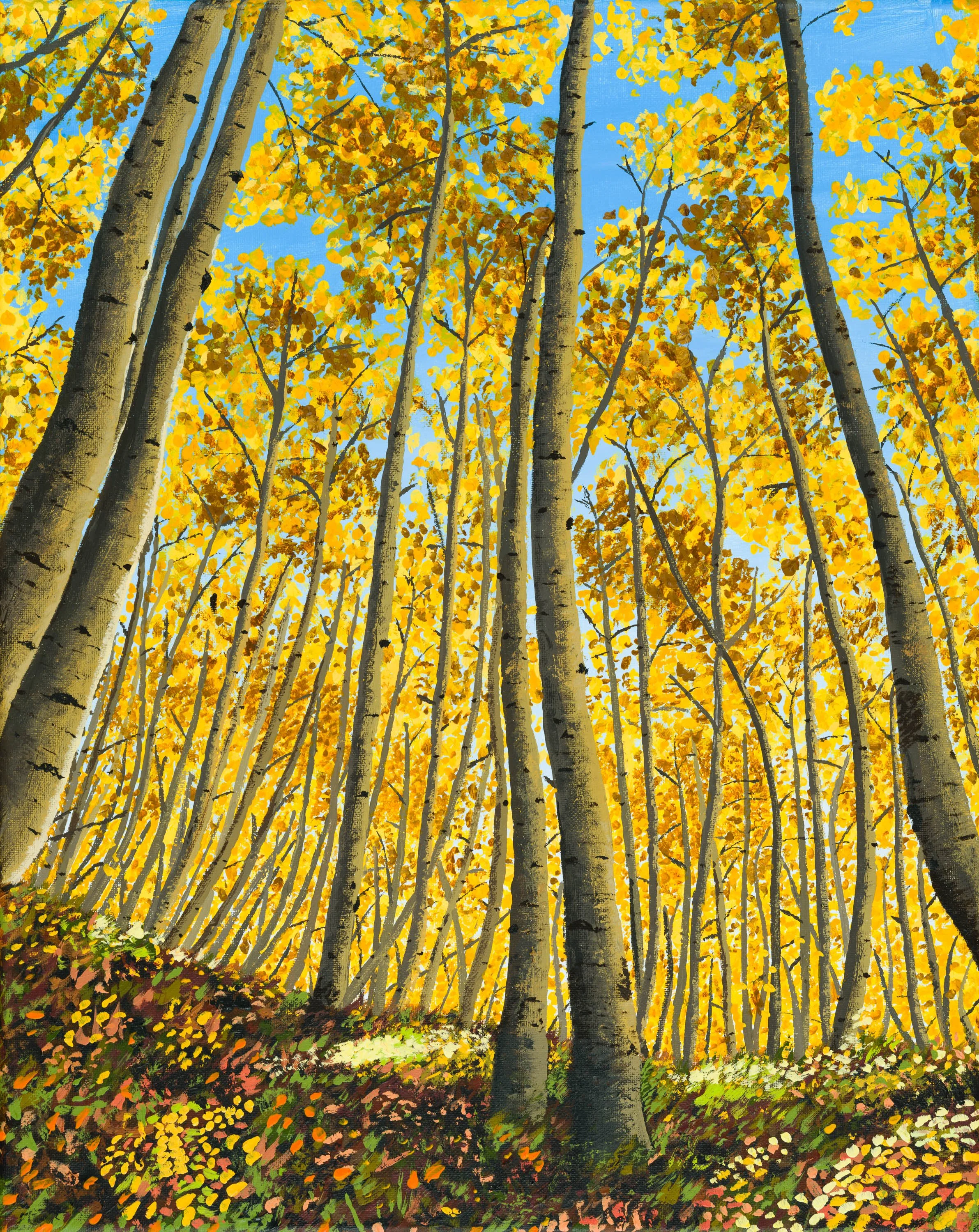 White River Valley Aspens