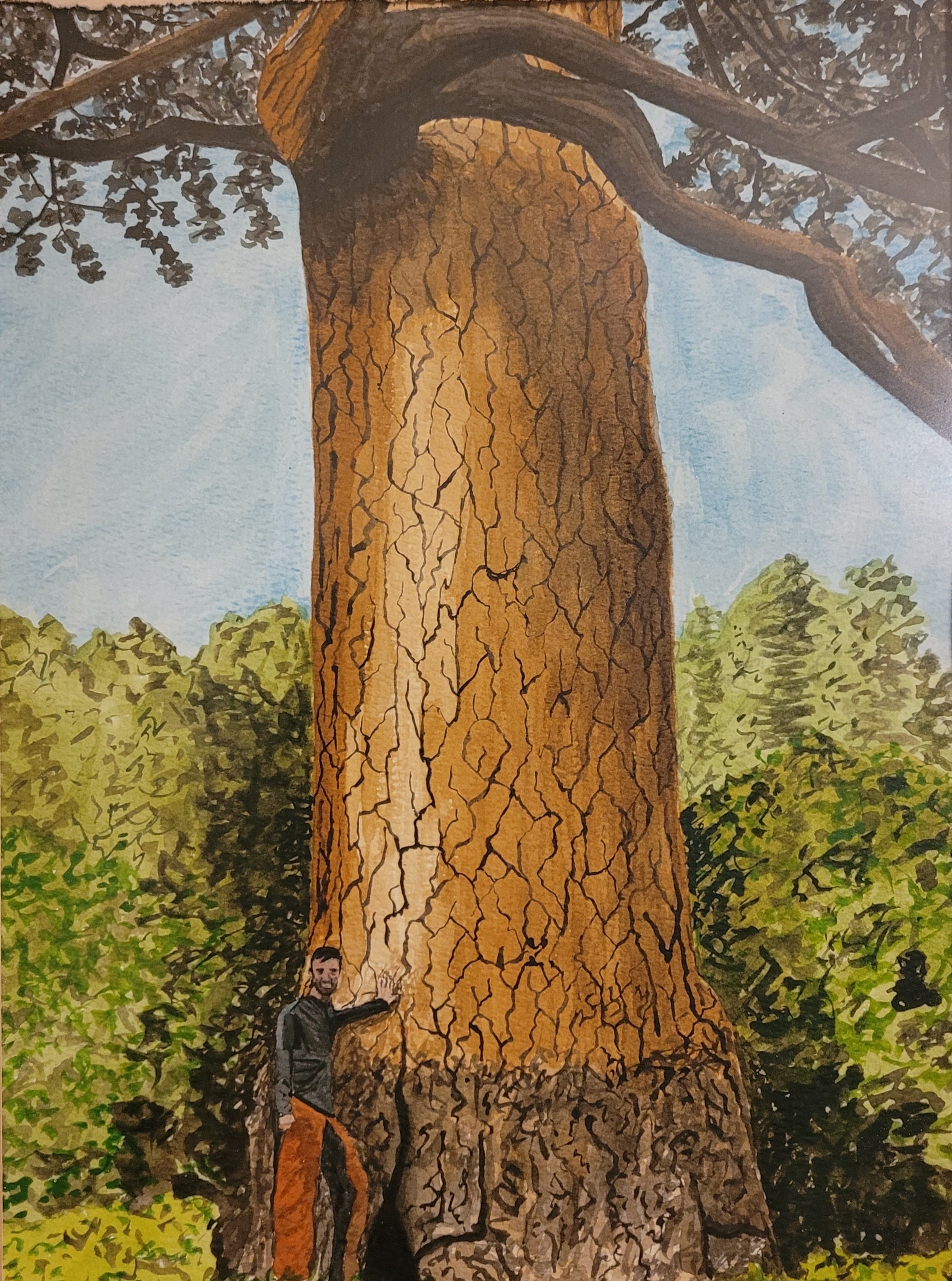 The Lone Pine