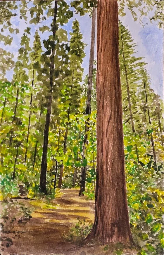 Calaveras Big Trees State Park
