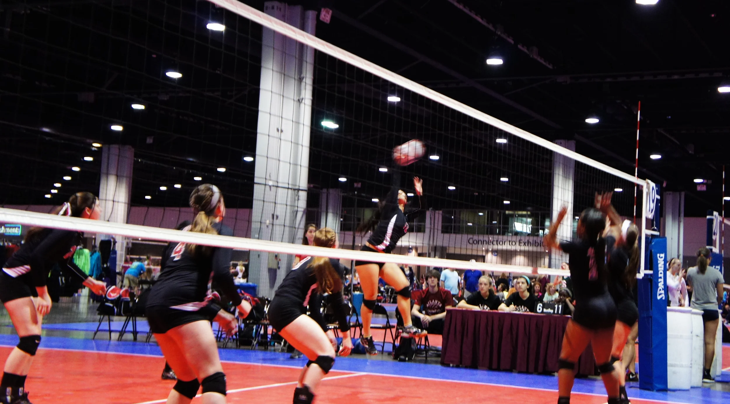 spike16-2.jpg