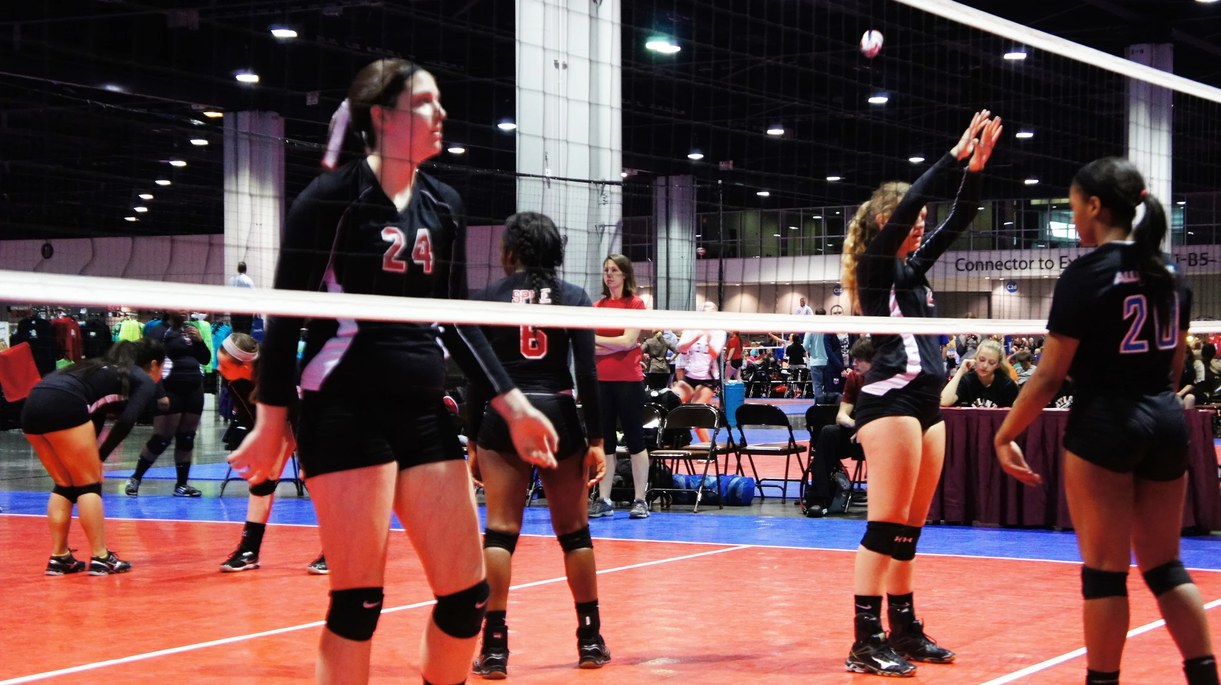 spike16-3.jpg