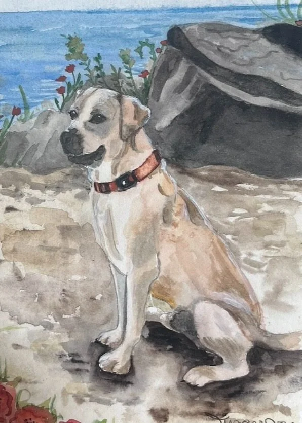pet-yellow-lab-beach.jpg