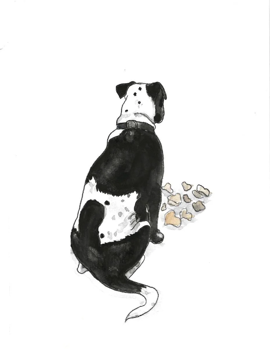 pet-black-white-dog-ink.jpg
