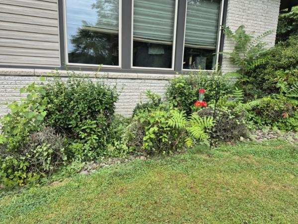Scottdale, PA - Before.