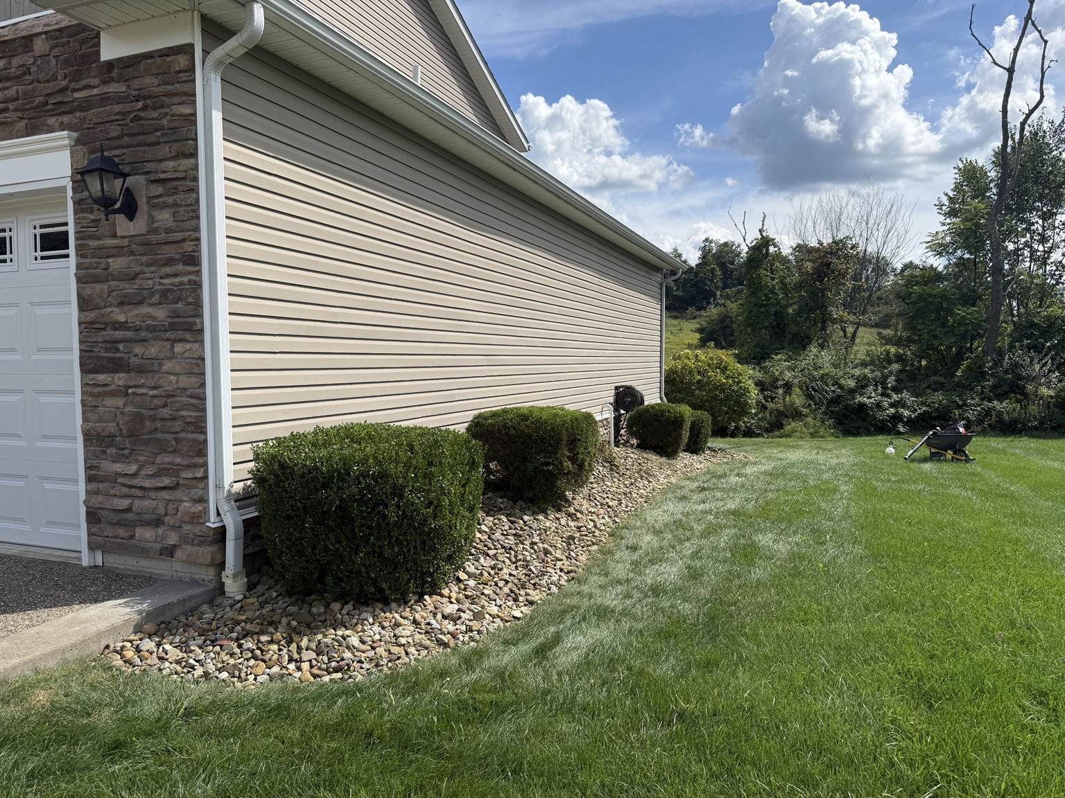 Hedge & Shrub Trimming