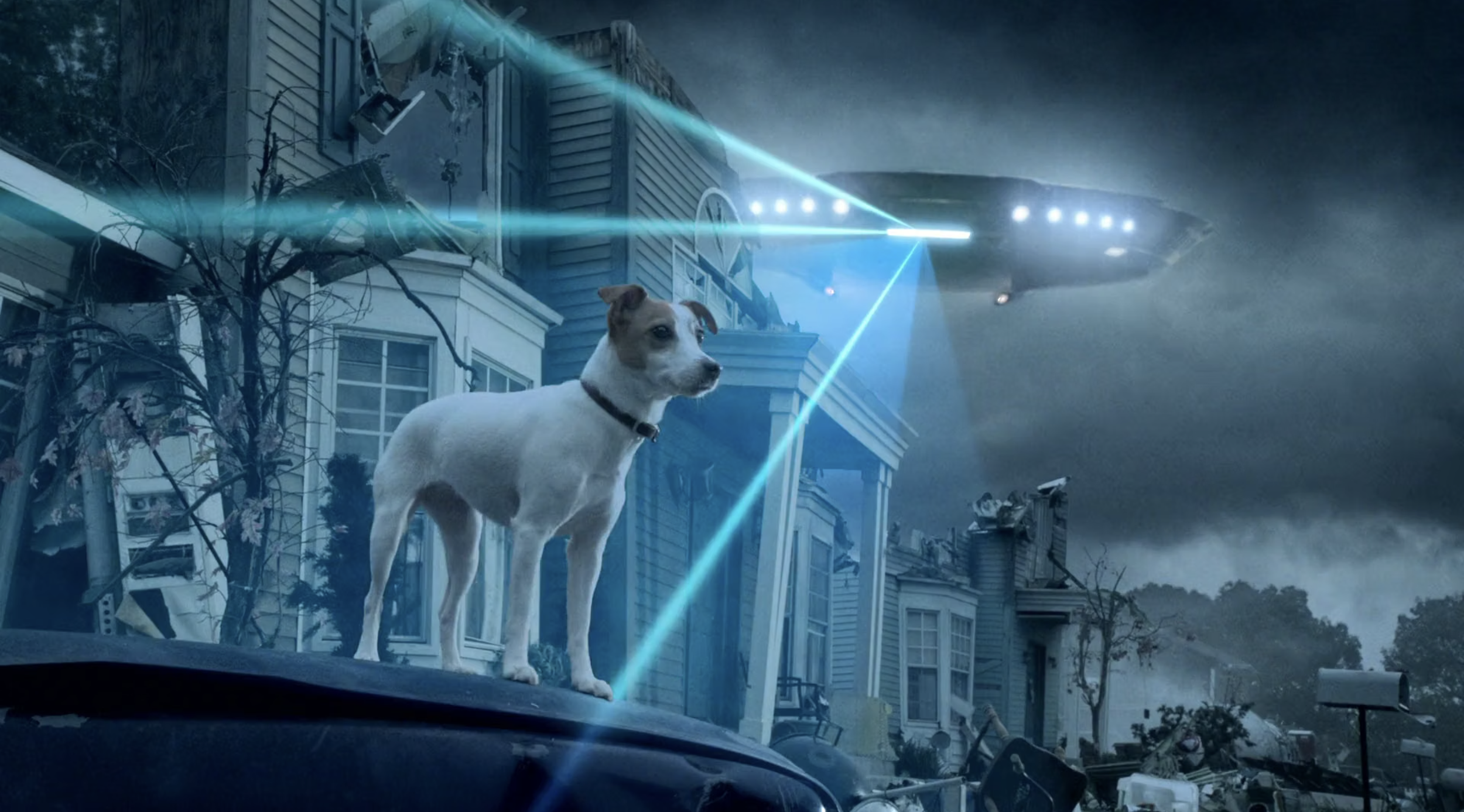 Pedigree Small Dog