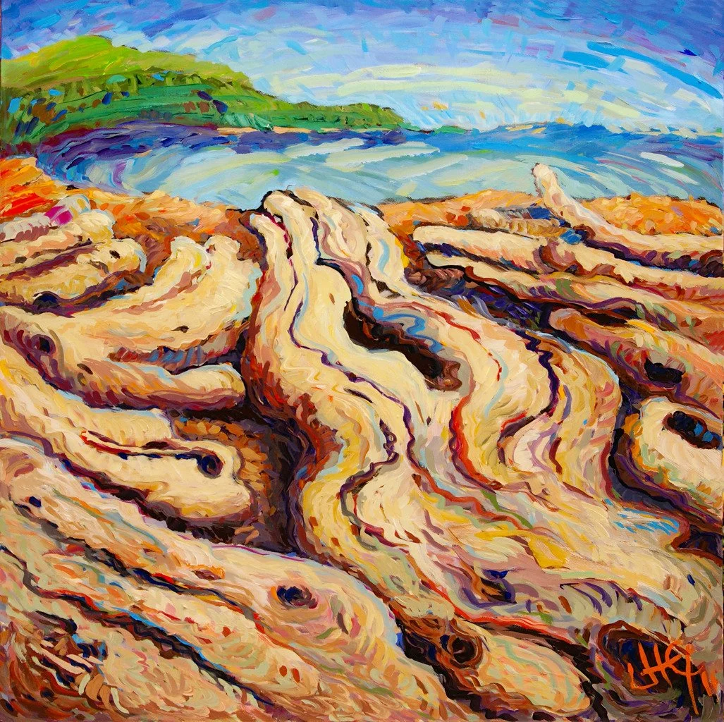 Old Growth Driftwood