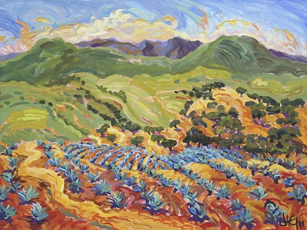 Huertas de Agave