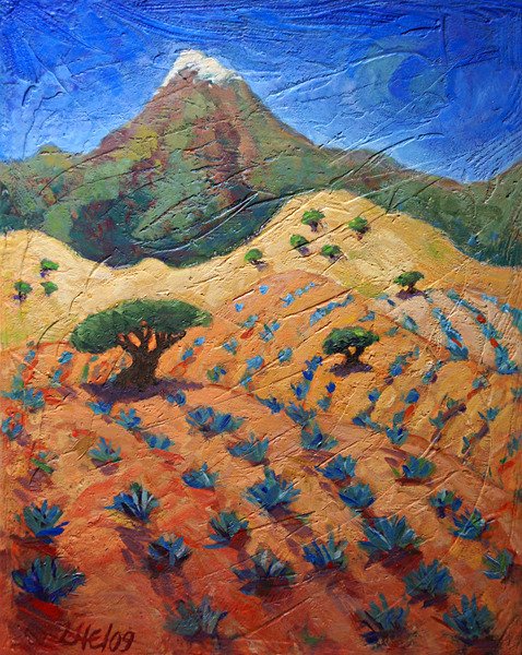"Campos de Agave"