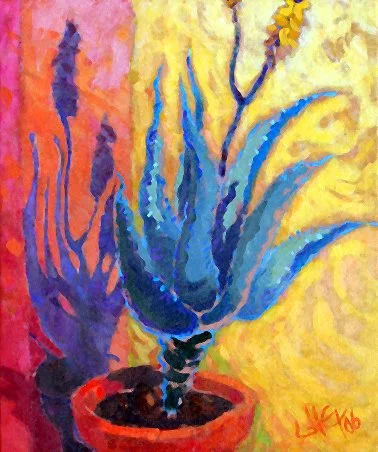 "FLOR DE SAVILA"