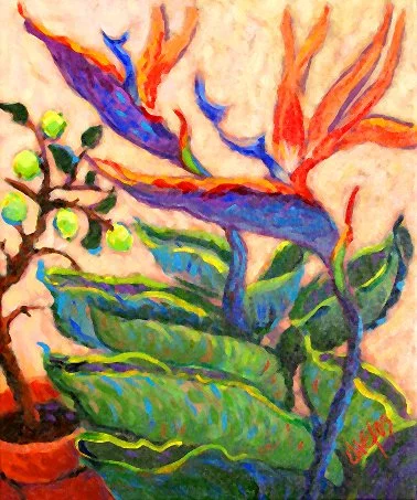 "PAJAROS DEL PARAISO"