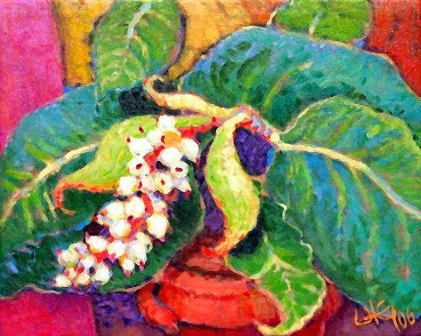 "FLOR DE GINGEBRE"