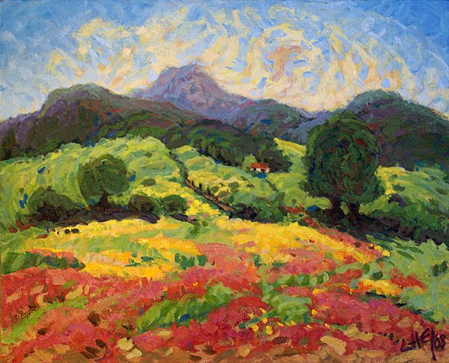 "campos amarillos"