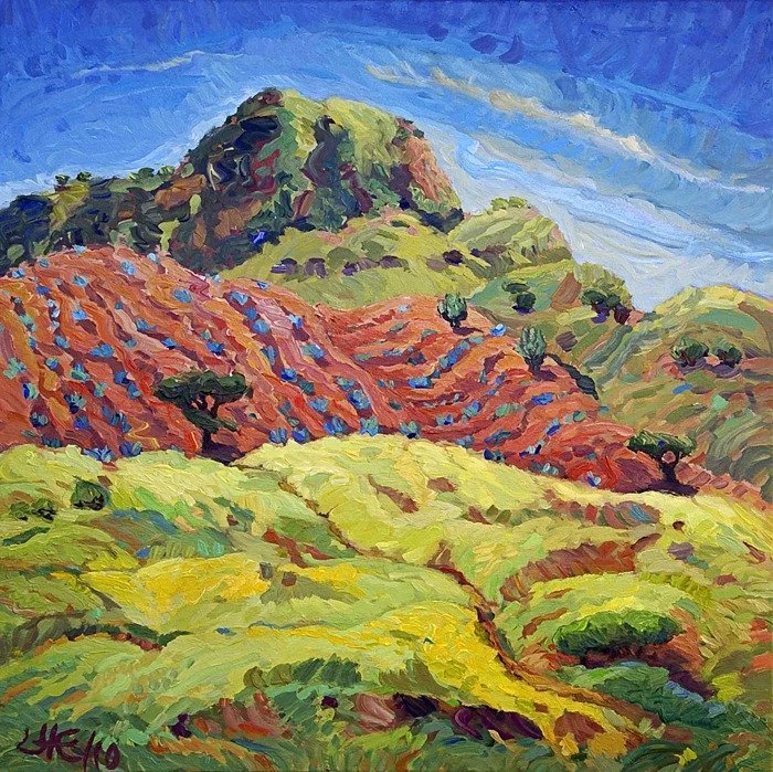 Campos Verdes