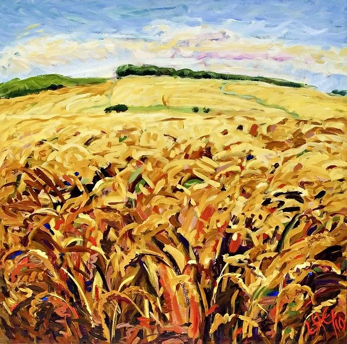 Summer Wheat