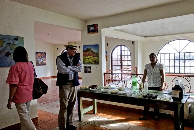   
 Exhibition&nbsp;by Ute Hagen, Sala de la Rusa, Centro Cultural de Ajijic 
  