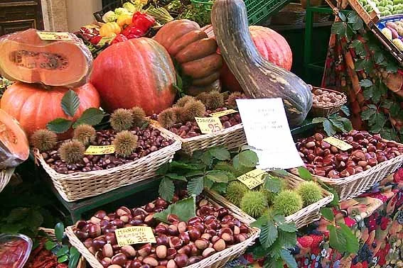 g_15209.jpg