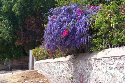 lakeside wall 